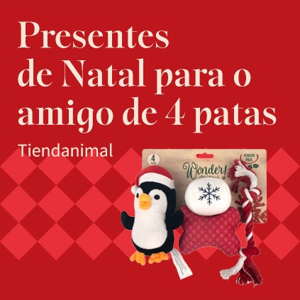 Presentes de Natal para o amigo de 4 patas